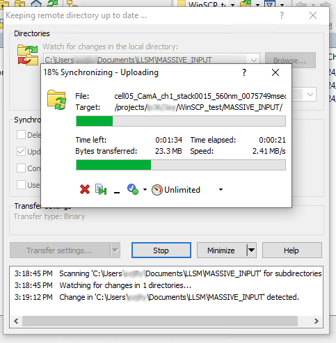 alt text